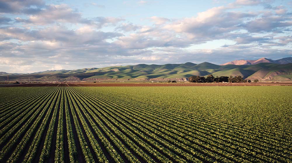 Large agricultural farm with rolling hills.