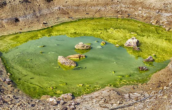 Home 3 mine waste green water