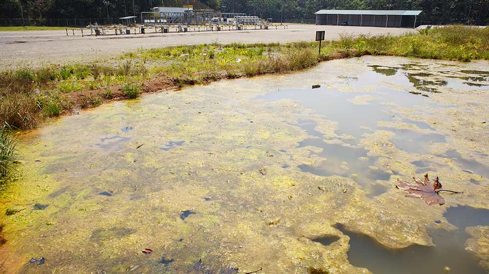 Polluted water in retention pond.