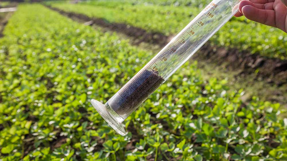 Soil sample in test tube.