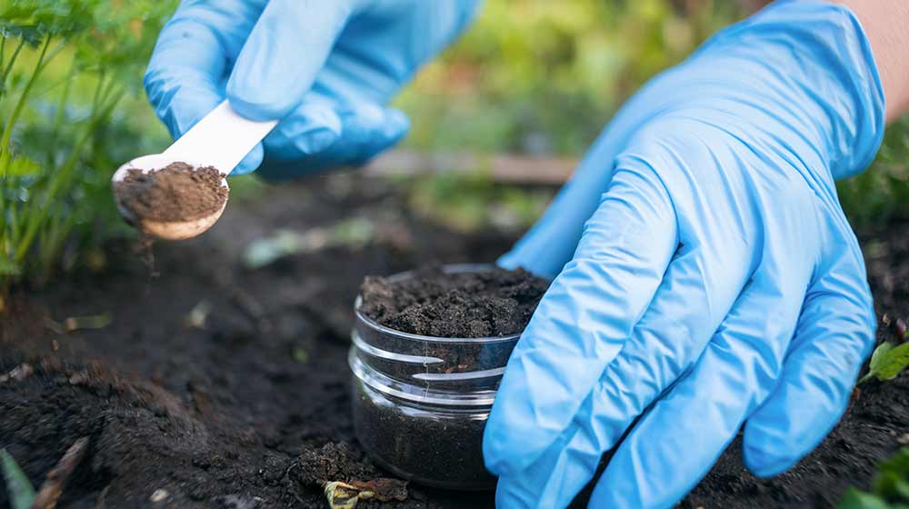 Soil test temporary photo.